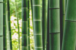 Bamboo Fibre Fabric
