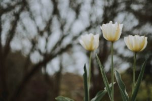 3 compnaents of self compassion and hidradenitis suppurativa